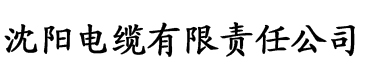 快穿之攻略已婚男主电缆厂logo